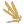 Icarus