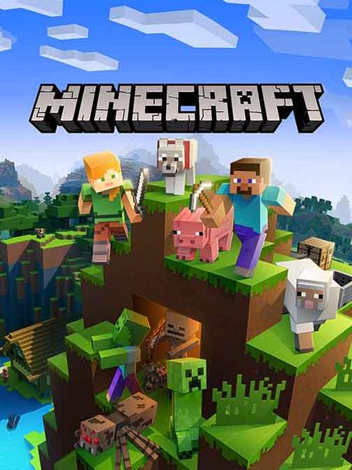 Minecraft server hosting