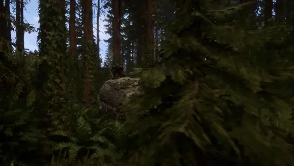 Parhaat Sons Of The Forest -tukikohtapaikat 2026 (ja miksi ne toimivat)