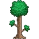 Terraria